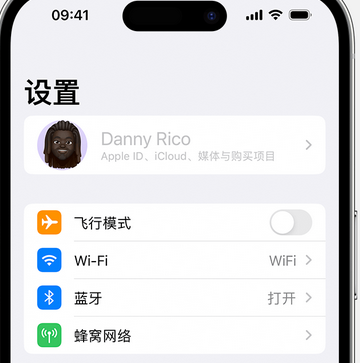 岚山appleID维修服务iPhone设置中Apple ID显示为灰色无法使用 