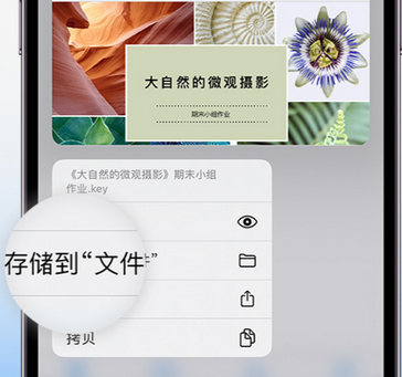 岚山apple维修中心分享iPhone文件应用中存储和找到下载文件