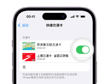 岚山apple维修点分享iPhone上更换Apple Pay快捷交通卡手绘卡面 