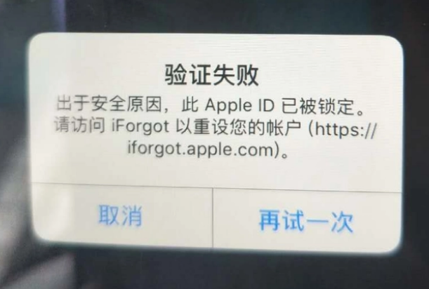 岚山iPhone维修分享iPhone上正常登录或使用AppleID怎么办 