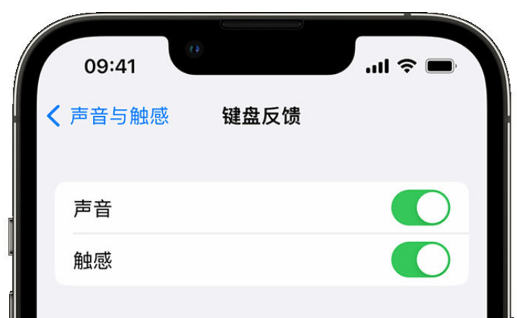 岚山苹果手机维修分享iPhone 14触感键盘使用方法 