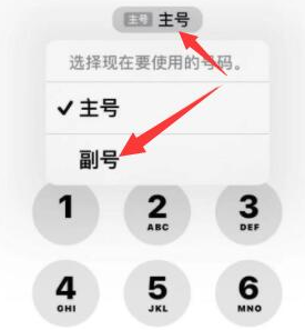 岚山苹果14维修店分享iPhone 14 Pro Max使用副卡打电话的方法 