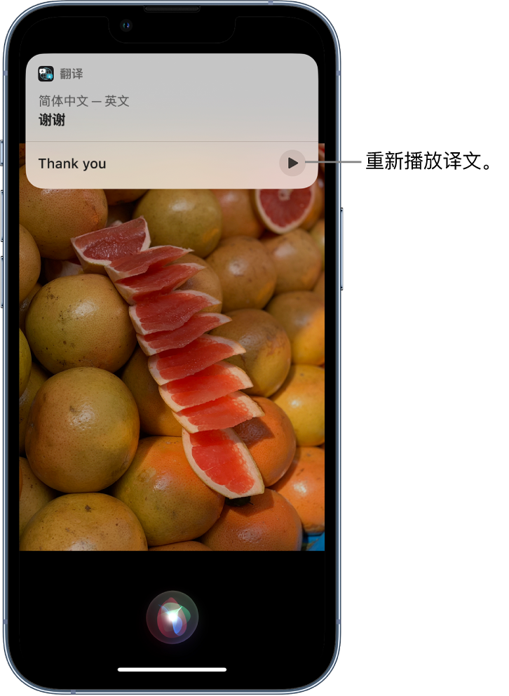 岚山苹果14维修分享 iPhone 14 机型中使用 Siri：了解 Siri 能帮你做什么 