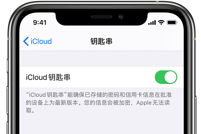 岚山苹果手机维修分享在 iPhone 上开启 iCloud 钥匙串之后会储存哪些信息 