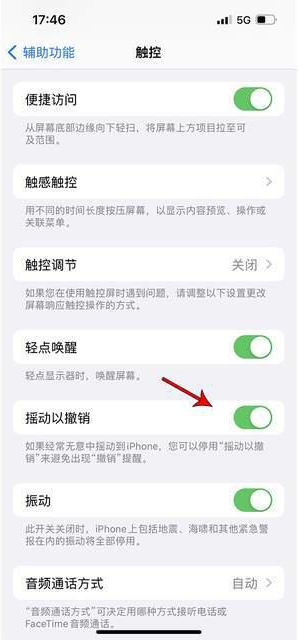 岚山苹果手机维修分享iPhone手机如何设置摇一摇删除文字 